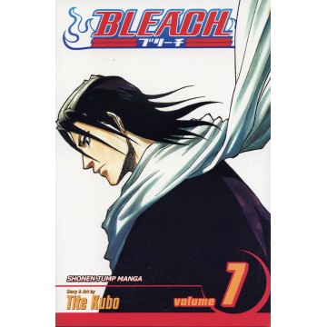 Bleach, Vol. 07