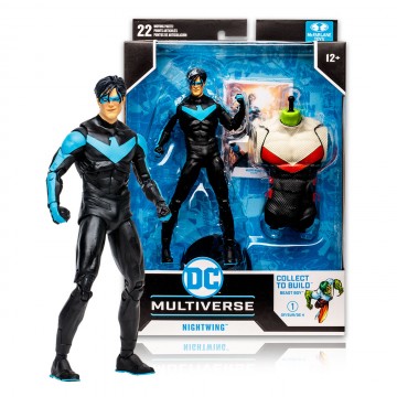 Titans DC Multiverse...