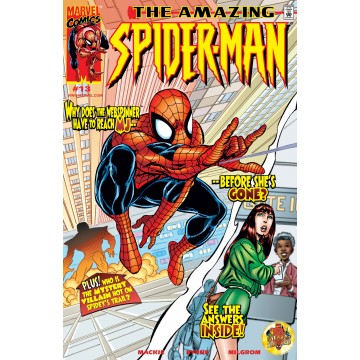 Amazing Spider-Man (1999) 13